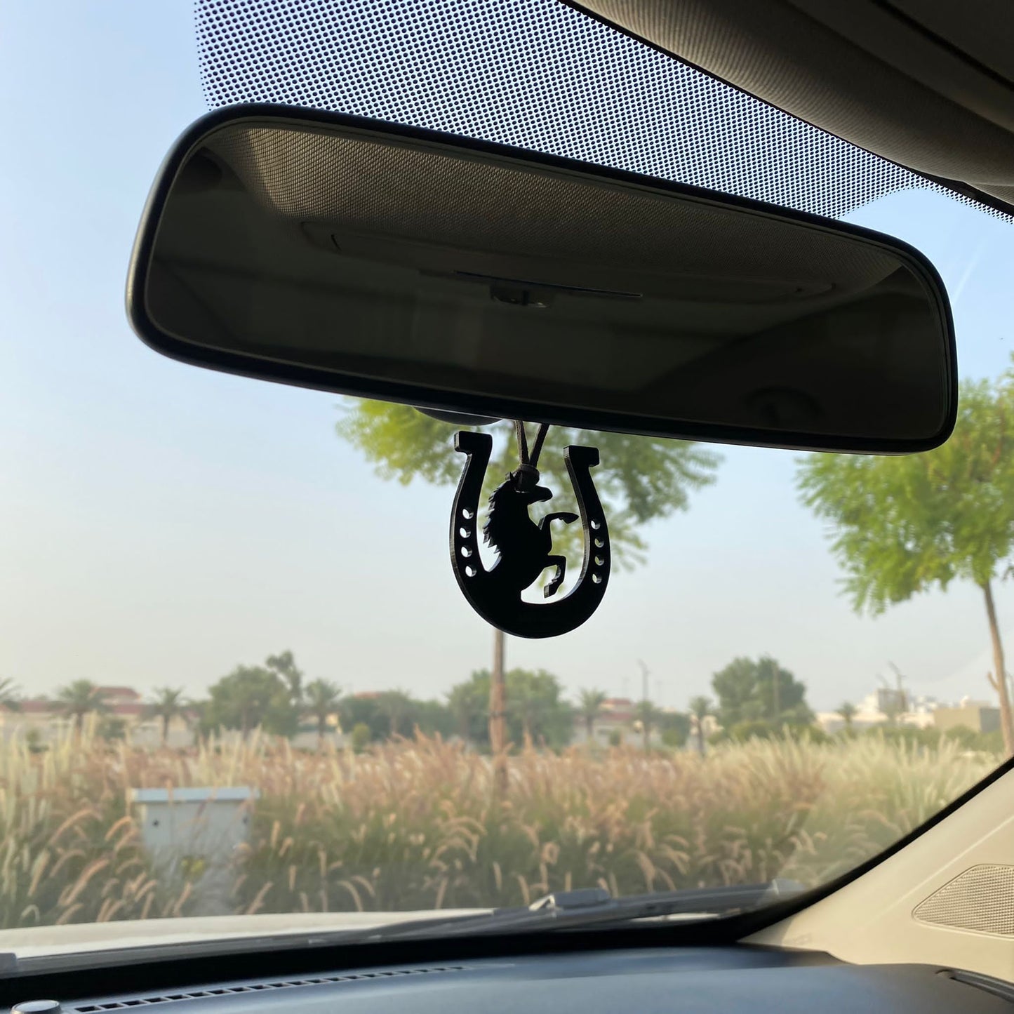 Hanging Horseshoe Car Black