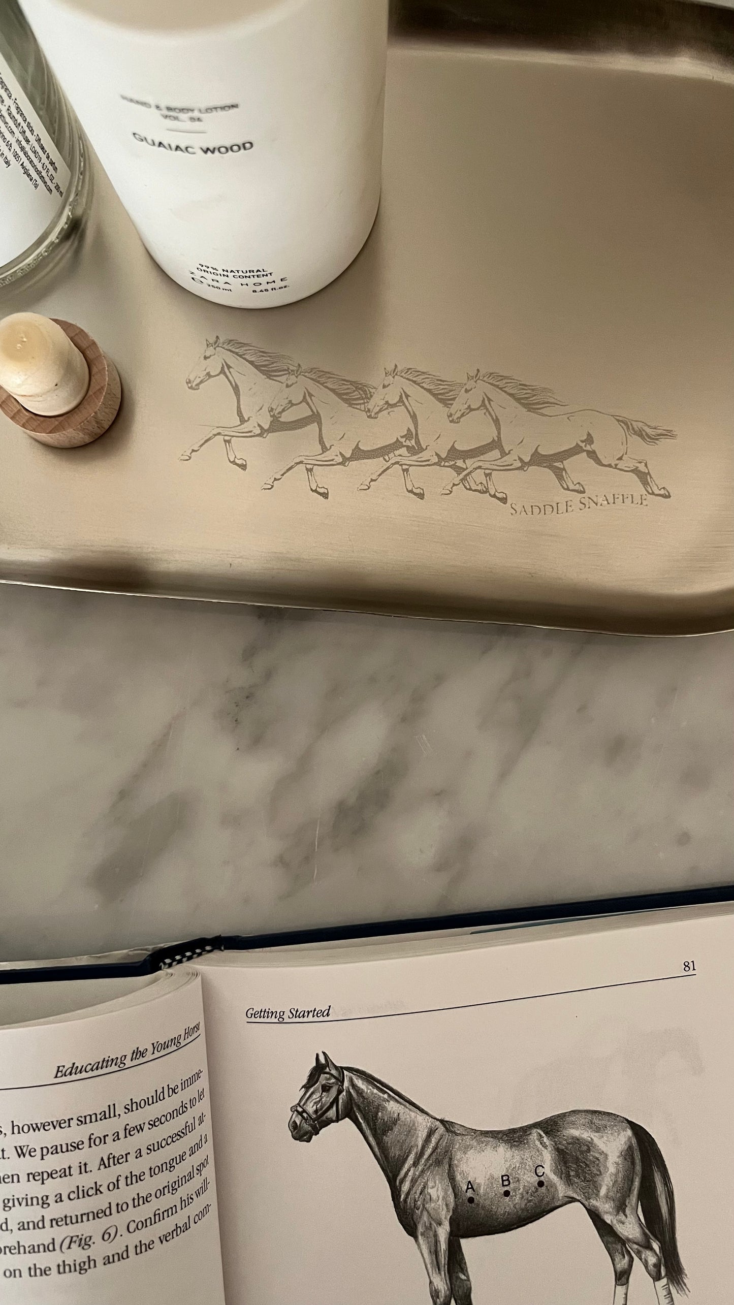 Horse Tray 16x34