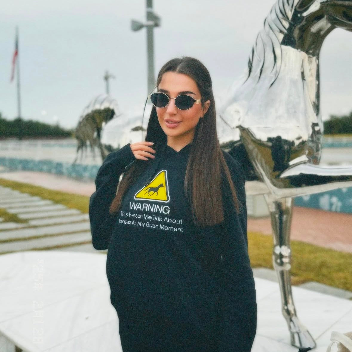 Horse WARNING Black Hoodie