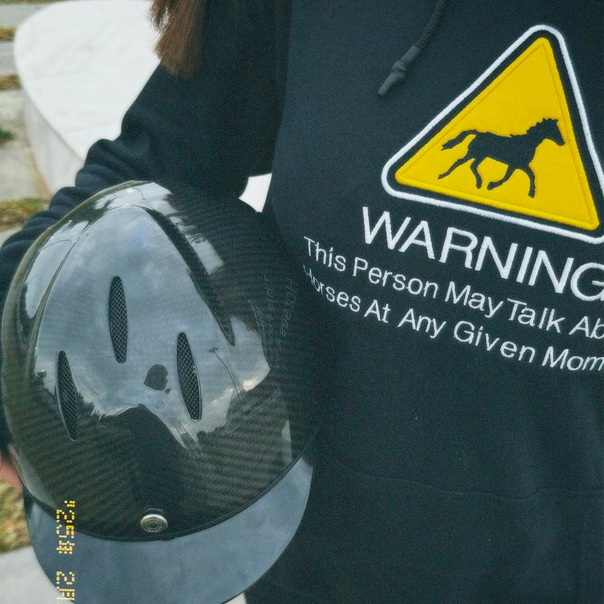 Horse WARNING Black Hoodie