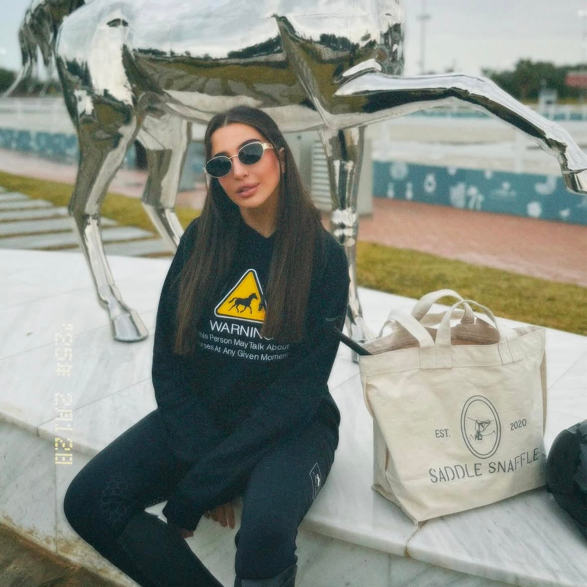 Horse WARNING Black Hoodie