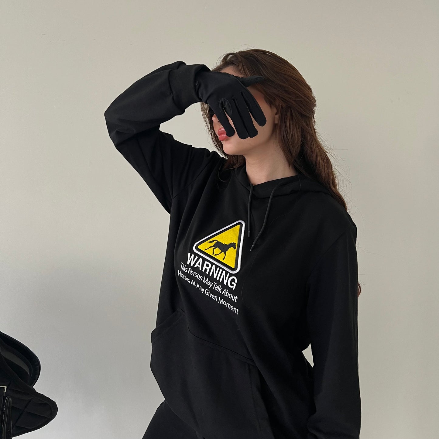 Horse WARNING Black Hoodie