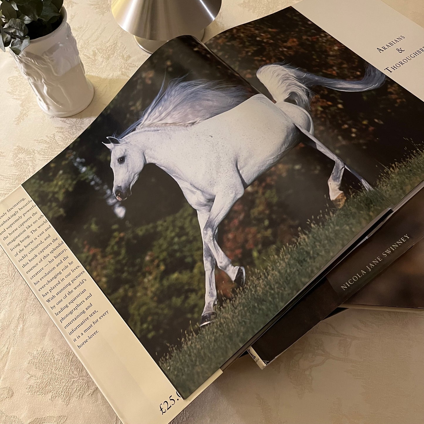 THE COMPLETE BOOK OF HORSES