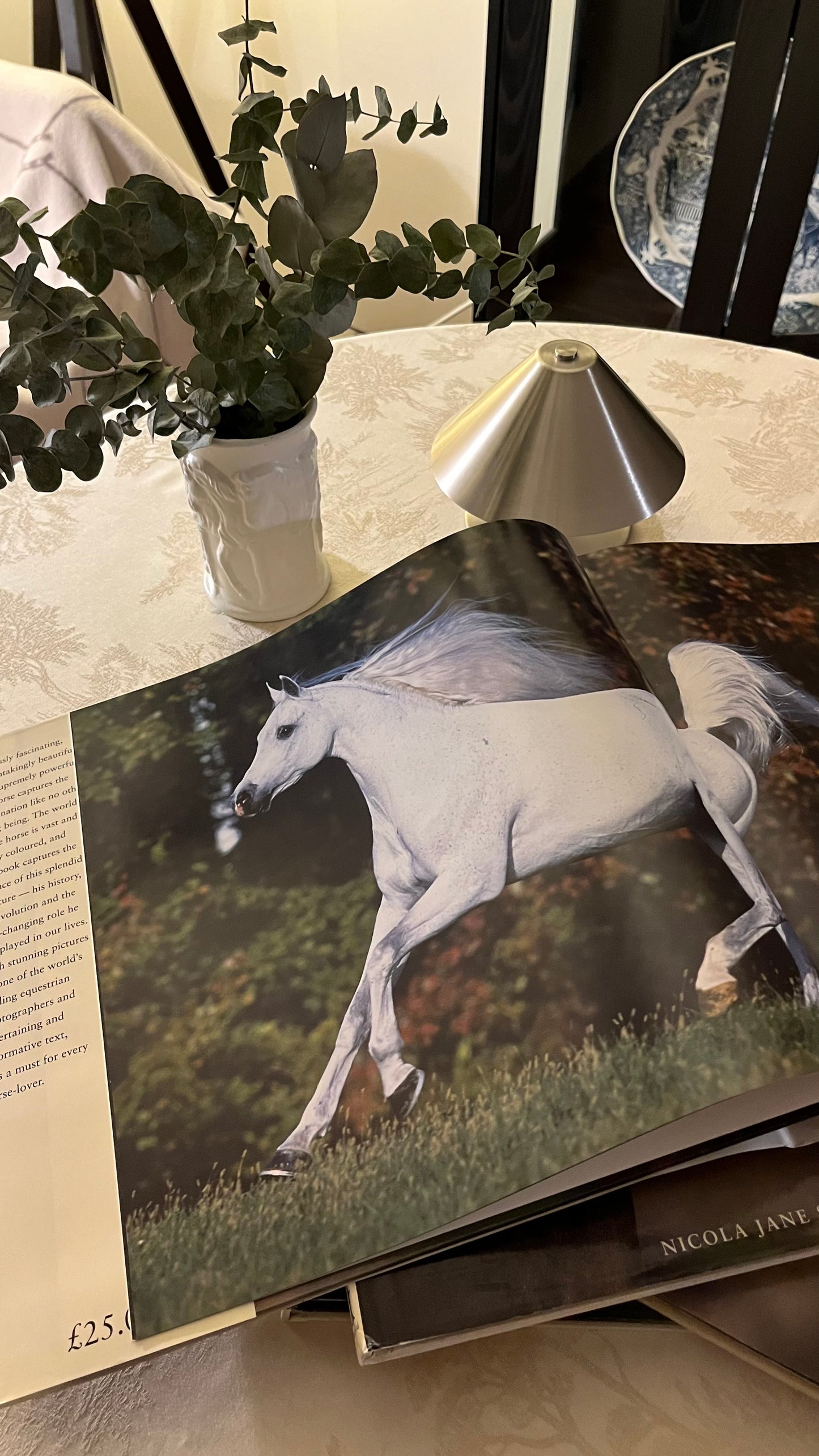 THE COMPLETE BOOK OF HORSES