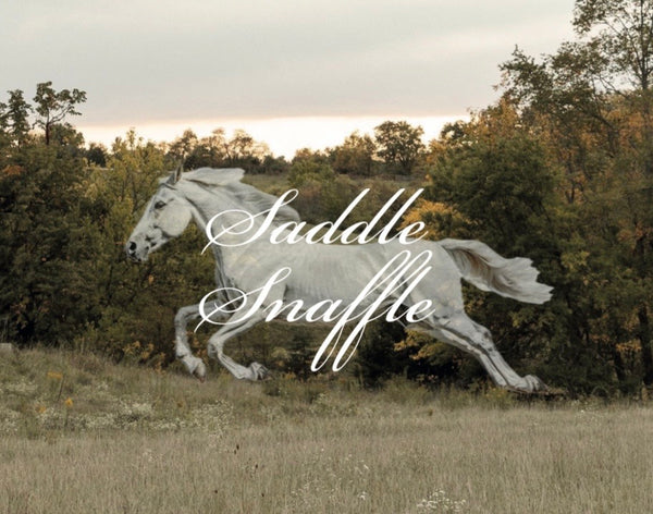 Saddle Snaffle